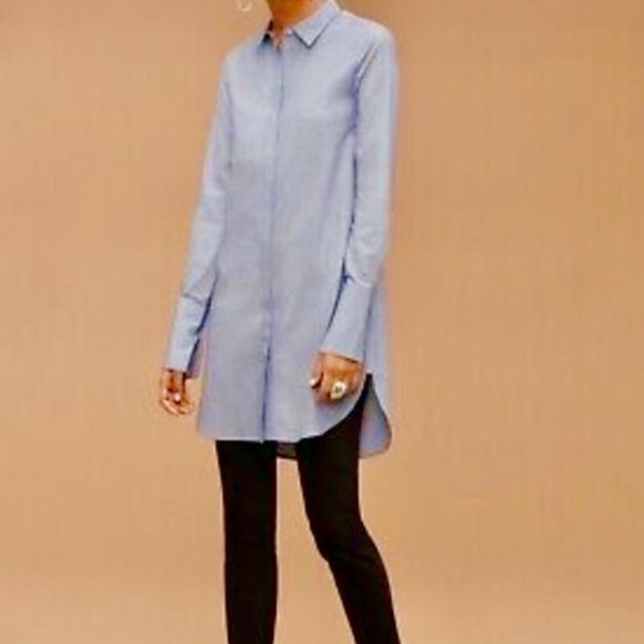 Babaton Tops - Aritzia Babaton Carleton Long Dress Shirt